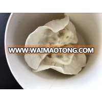 Freeze Dryer Dumplings Pasta Vacuum Freeze Drying Cooked Wheaten Food Machine